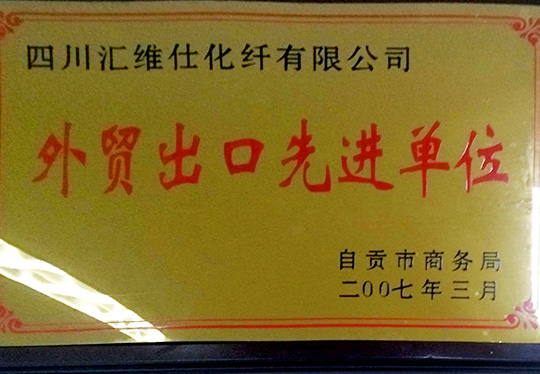 公司被评选为“外贸出口先进单位”